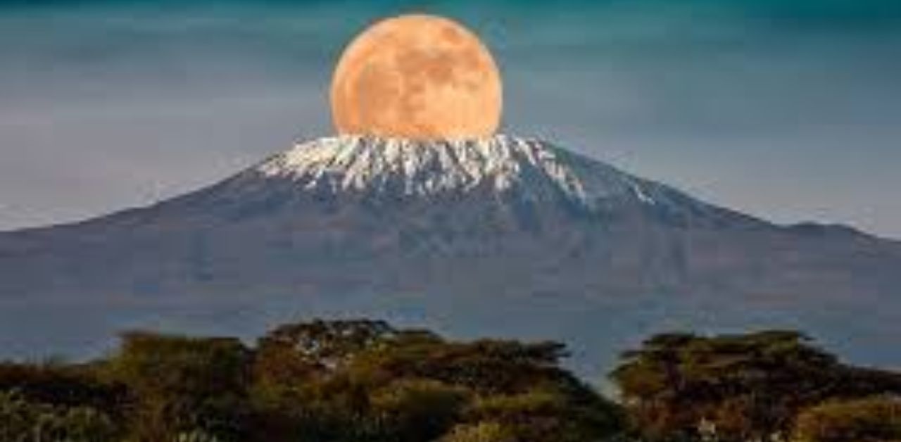 Air Tanzania Kilimanjaro Office in Tanzania