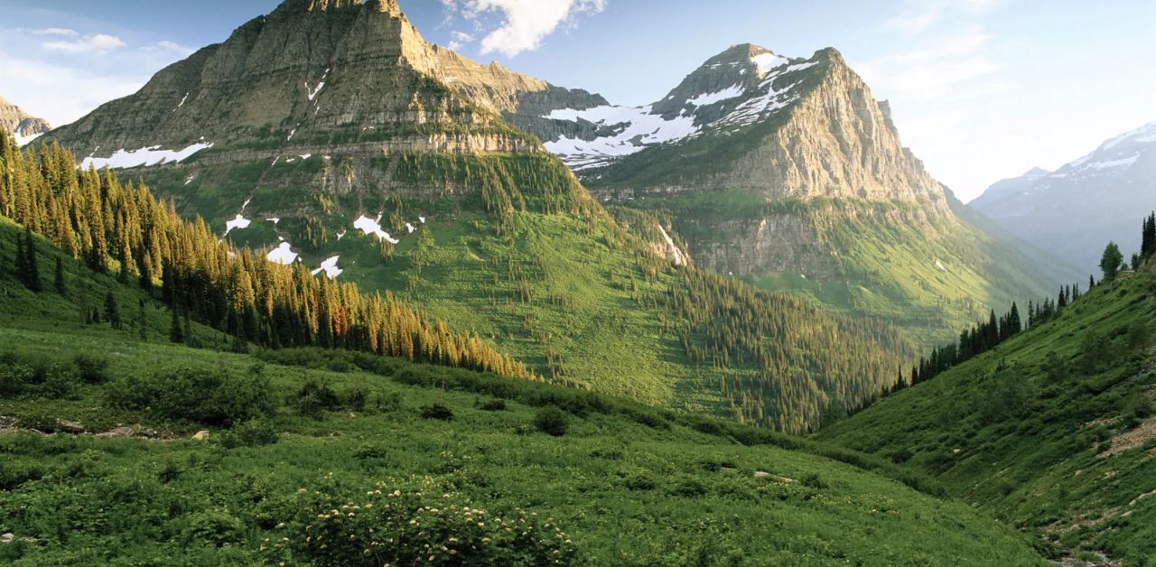 Allegiant Air Montana Office Phone Number