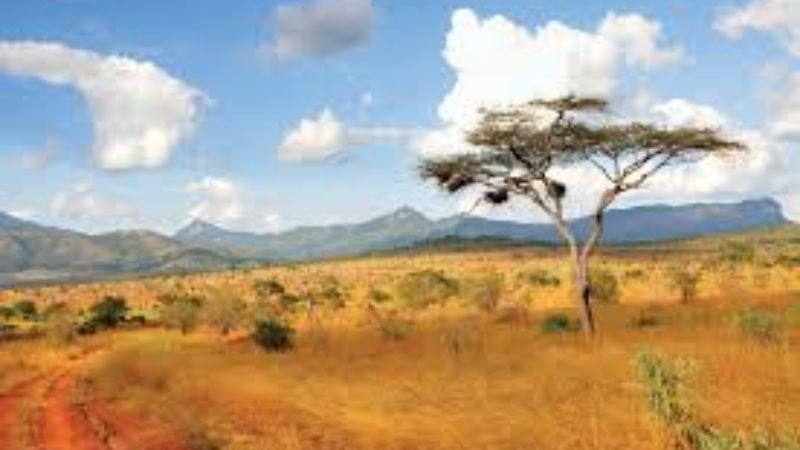 Kenya